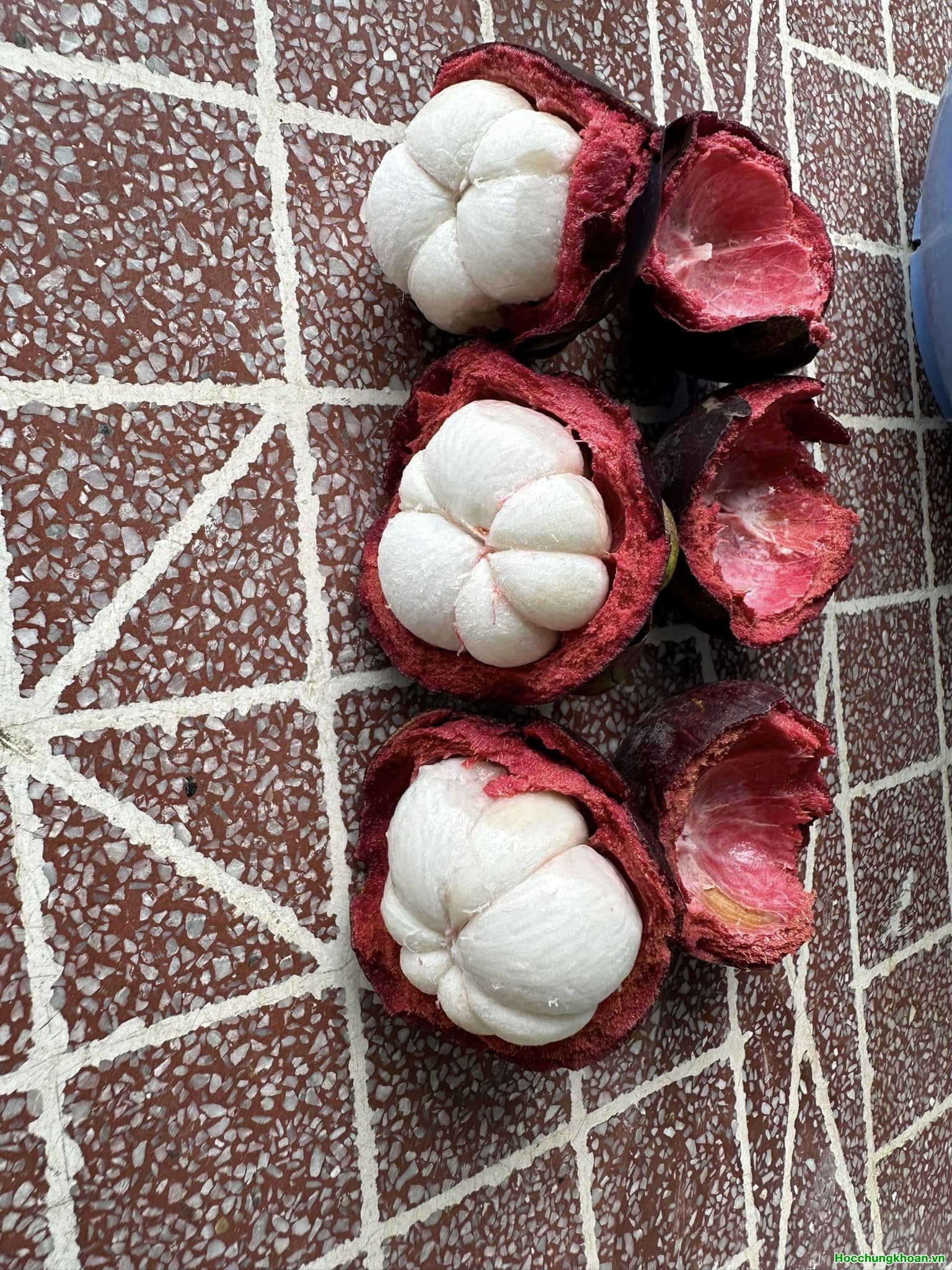 Cổ phiếu nào không đầu tư được thì liệt hết vào Đầu Cơ - Ảnh 6