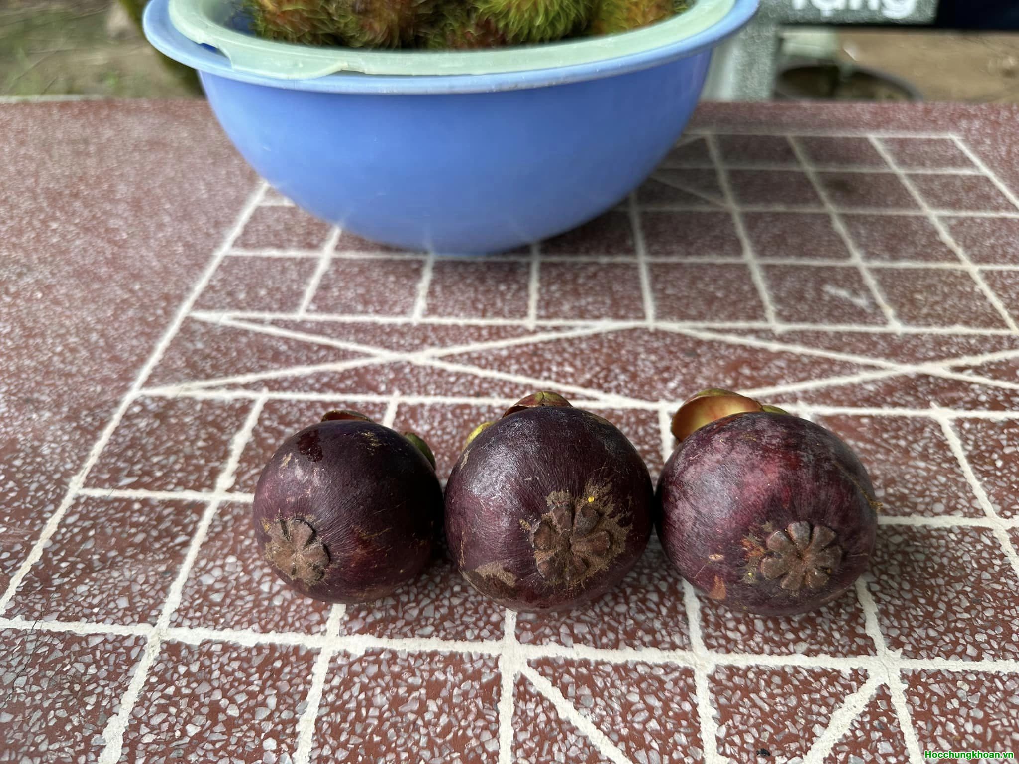Cổ phiếu nào không đầu tư được thì liệt hết vào Đầu Cơ - Ảnh 5