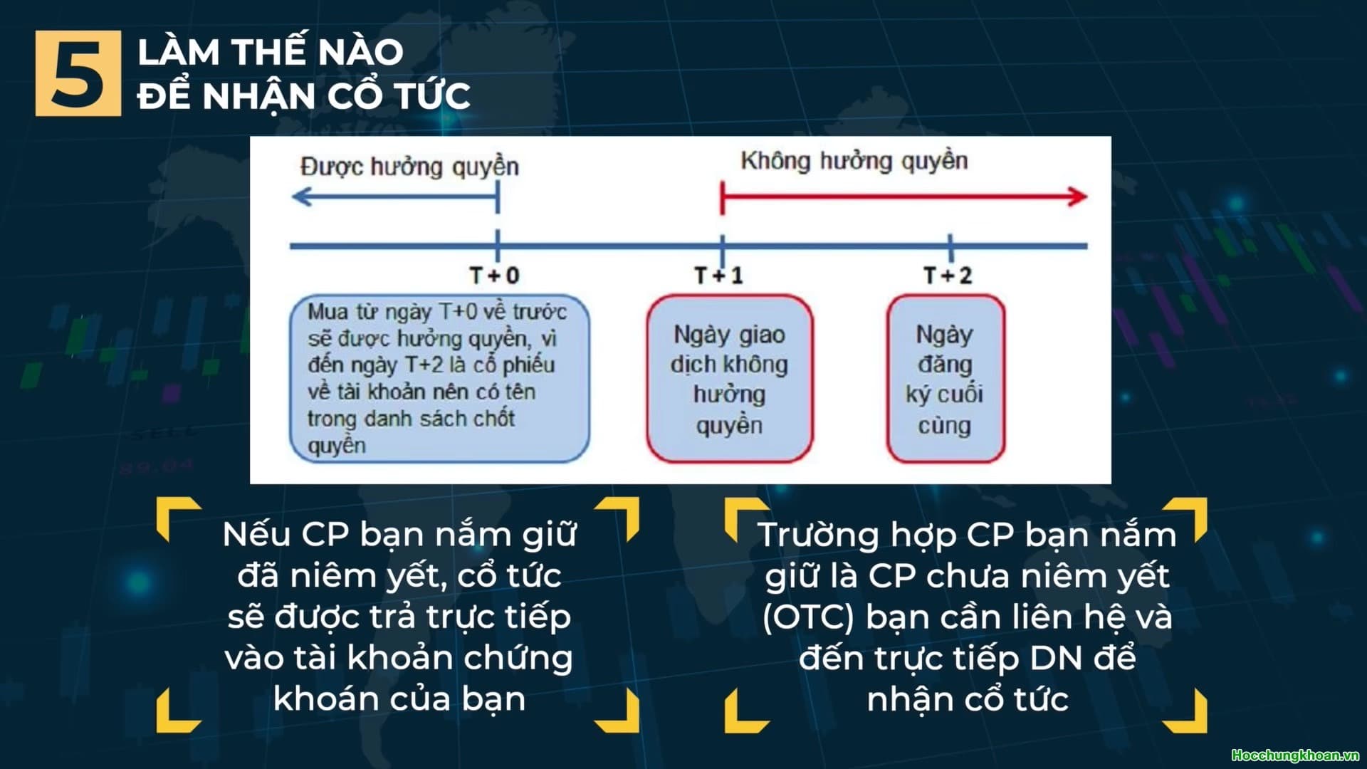 Cổ tức là gì? Cổ tức như thế nào là tốt? - Ảnh 11