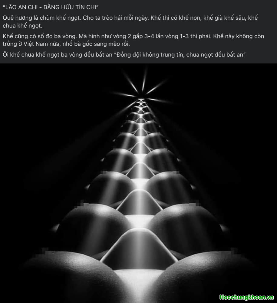 Dưới góc nhìn lệch chuẩn lợi tức của thị trường chứng khoán. Làm gì để thành công ở sóng nâng hạng? - Ảnh 1