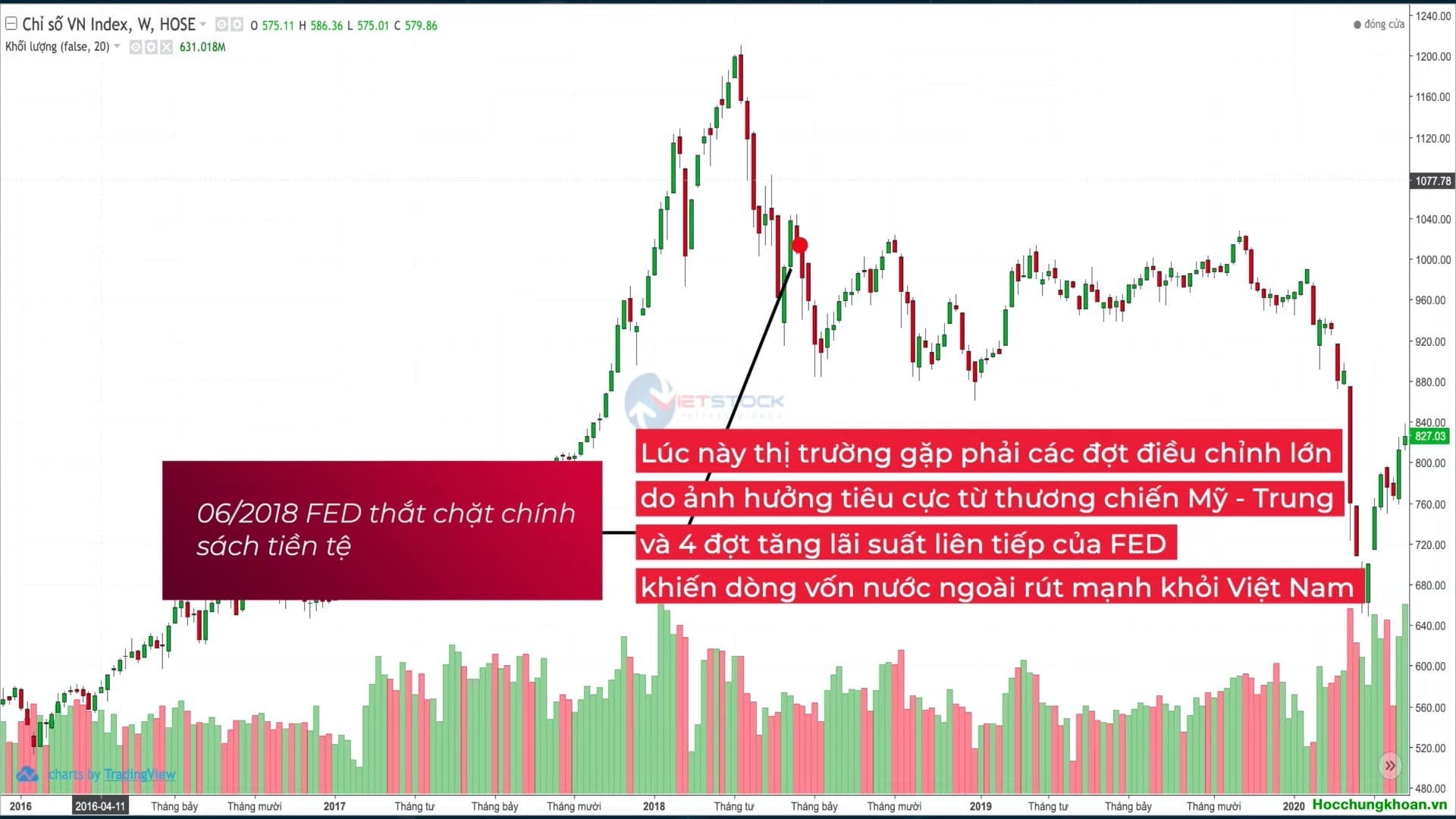 FED - 'Nhà cái số 1 thế giới' - Ảnh 11