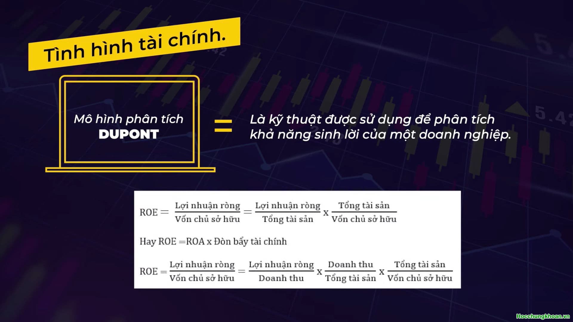 PHÂN TÍCH DOANH NGHIỆP NHANH VÀ CHUẨN - Ảnh 7