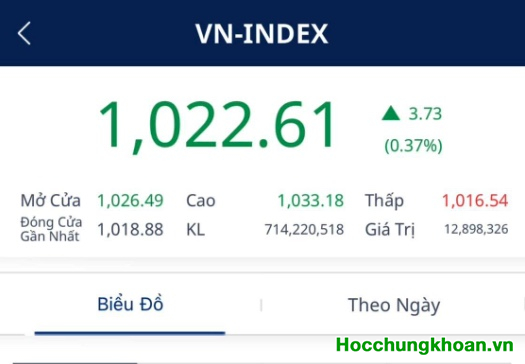 2023 nên có chiến lược đầu tư như thế nào? VN-Index có thể tăng trở lại sau khi chiết khấu “hội chứng lễ”