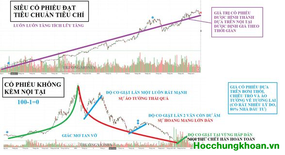 5 Tư duy bỏ túi Truongmoney gửi nhà đầu tư