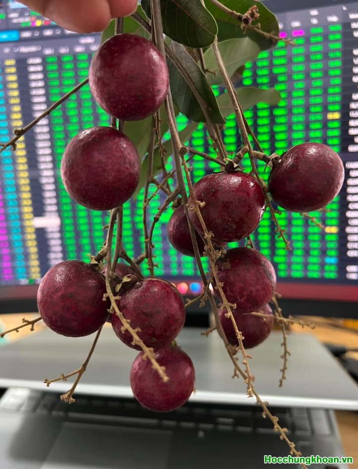 Áng sáng cuối đường hầm. TTCK sẽ tăng điểm cực mạnh 