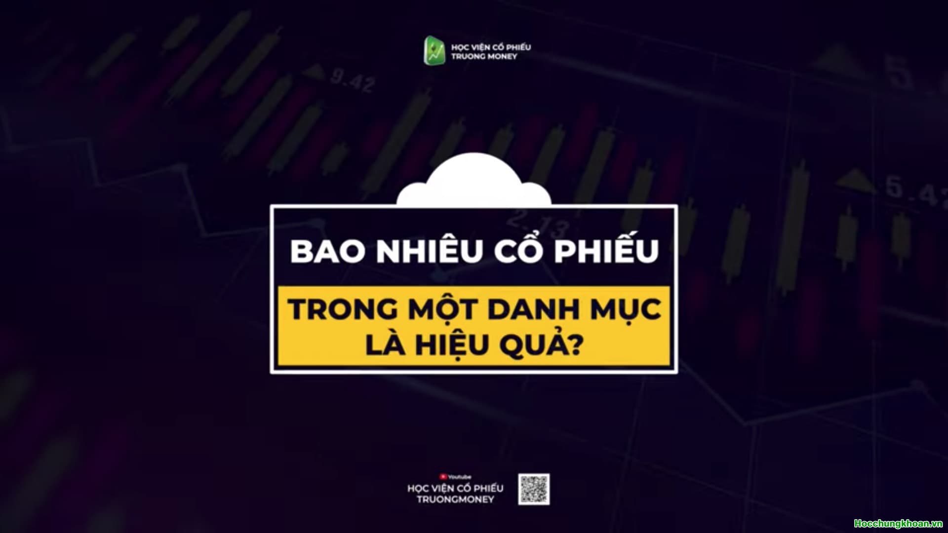 BAO NHIÊU CỔ PHIẾU TRONG MỘT DANH MỤC LÀ HIỆU QUẢ?