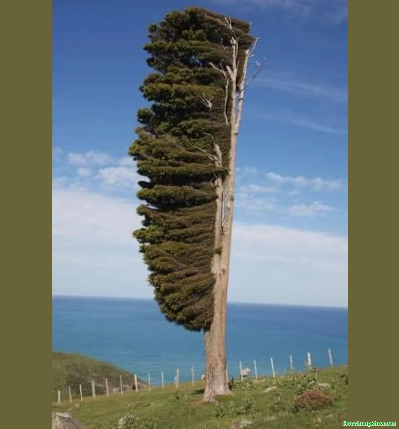 Bắt đầu quá trình “Hướng dẫn lại” năng lực đầu tư cho nhà đầu tư chuyên nghiệp