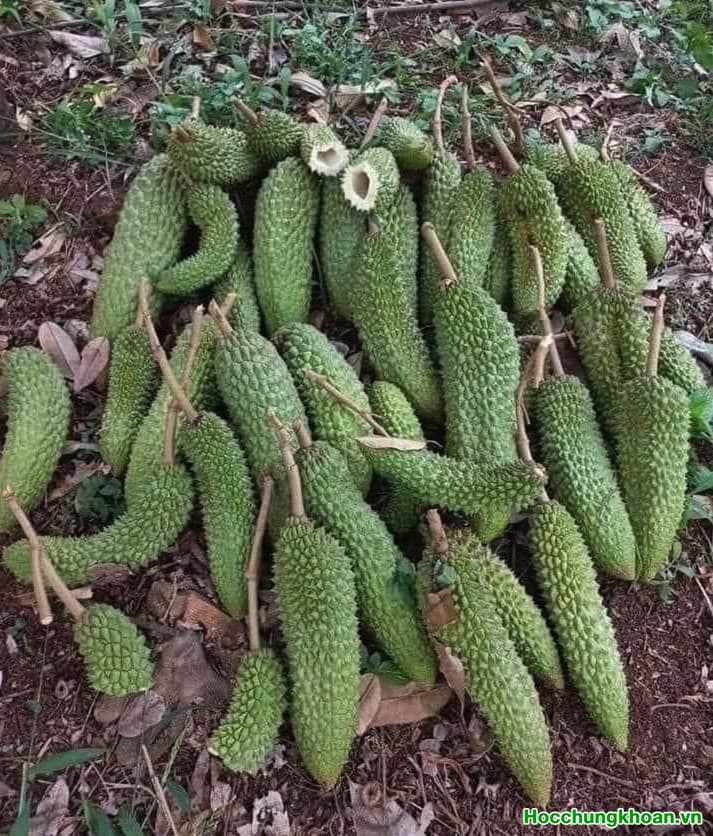 Các dự án lớn của NVL sớm được giải quyết. Còn rất nhiều sẽ đến nay mai nữa. Hãy chờ xem chuyện gì xảy ra. 