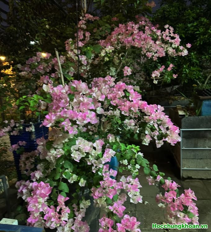 Cánh cửa suy thoái đang dần mở ra