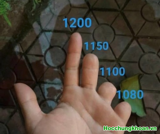 Chia sẻ ngày 10/10/2022