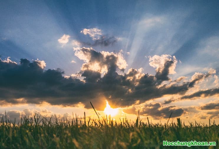 Chia sẻ ngày 31/10/2022