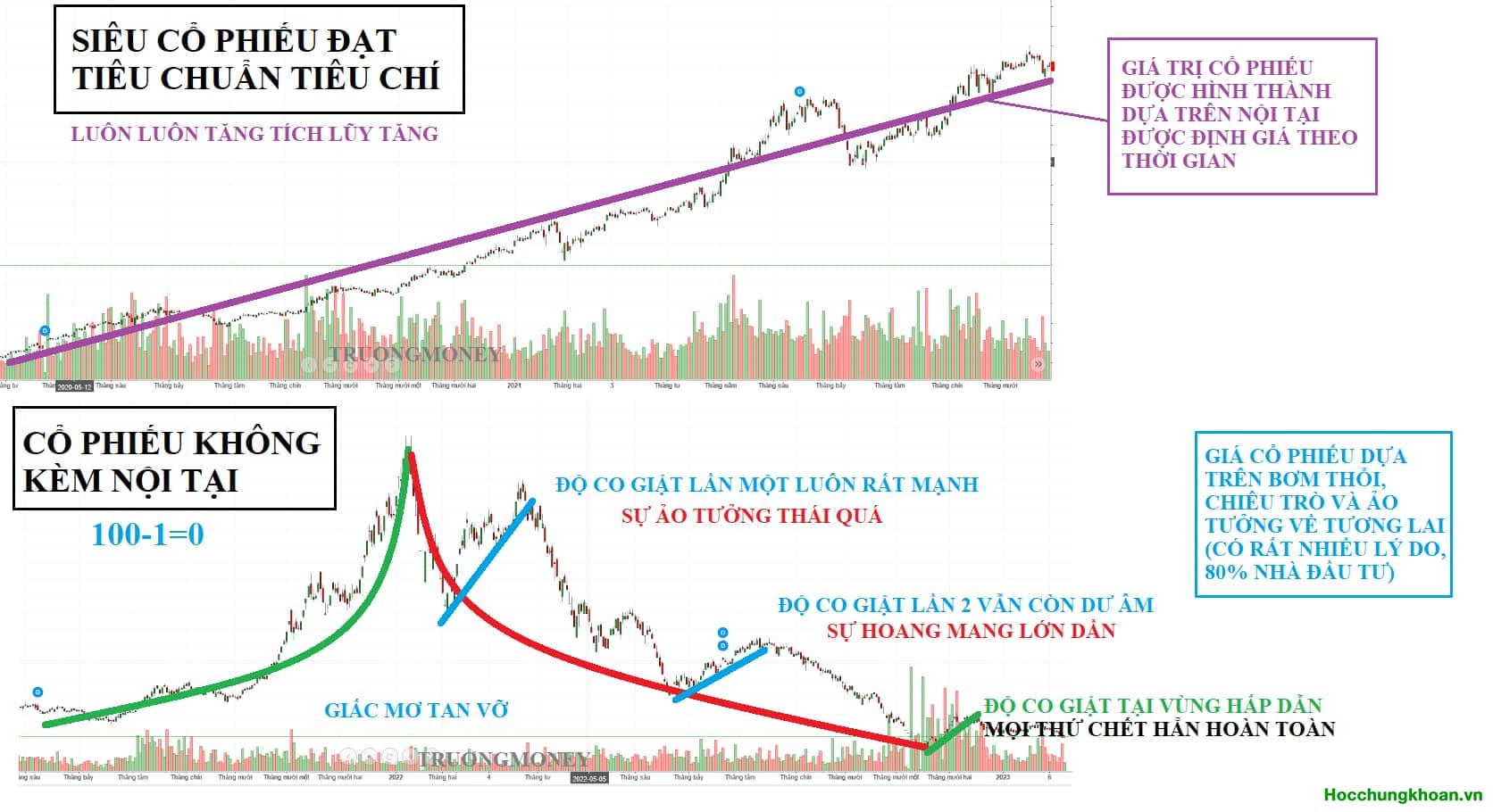 Chương trình Live ”Hướng dẫn” năng lực đầu tư chuyên nghiệp