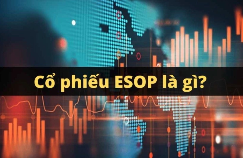 Cổ phiếu ESOP là gì? Có nên mua cổ phiếu ESOP