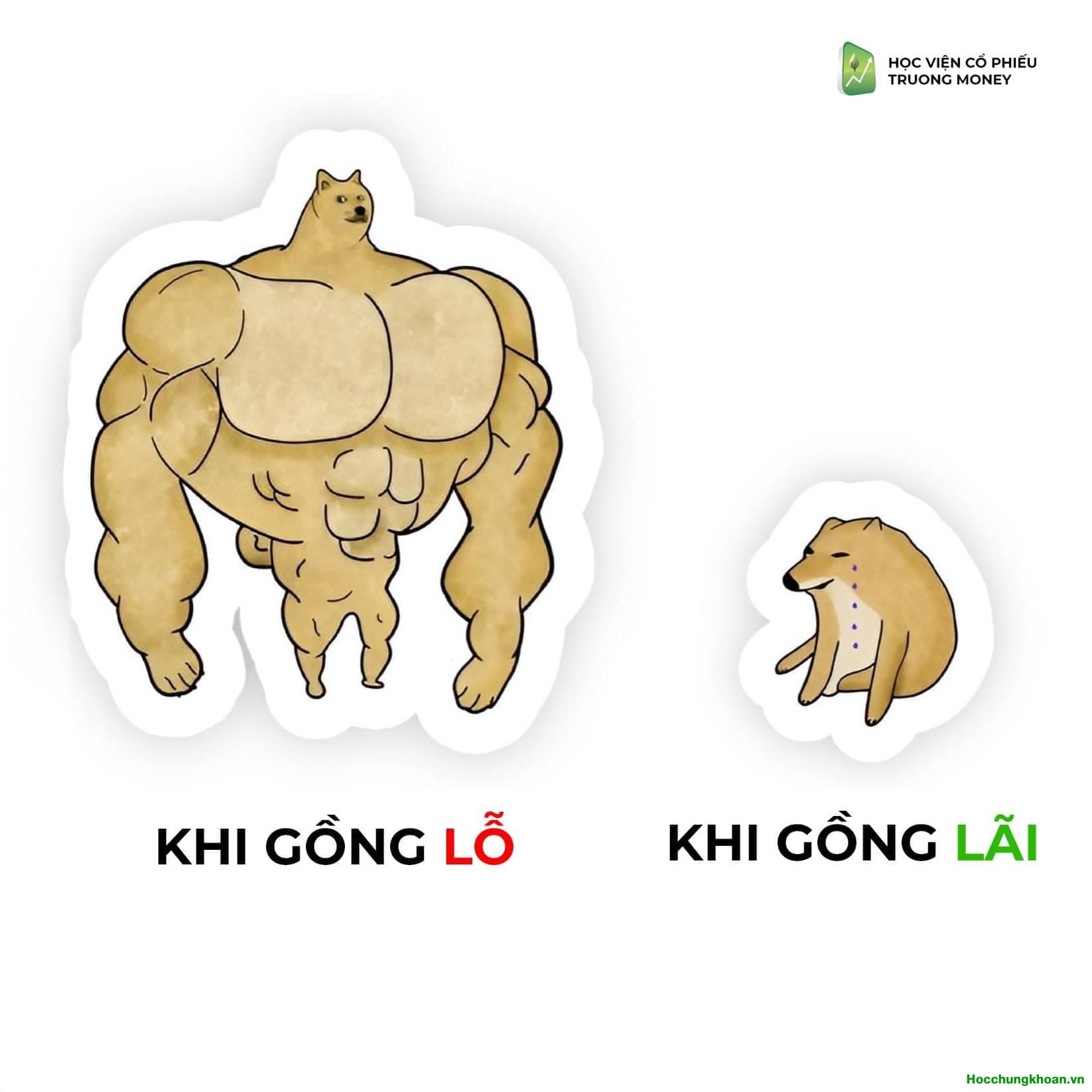 Cổ phiếu là không có quá khứ. Chỉ có hiện tại và tương lai