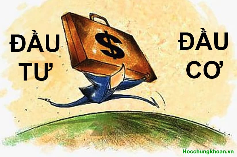 Cổ phiếu nào không đầu tư được thì liệt hết vào Đầu Cơ