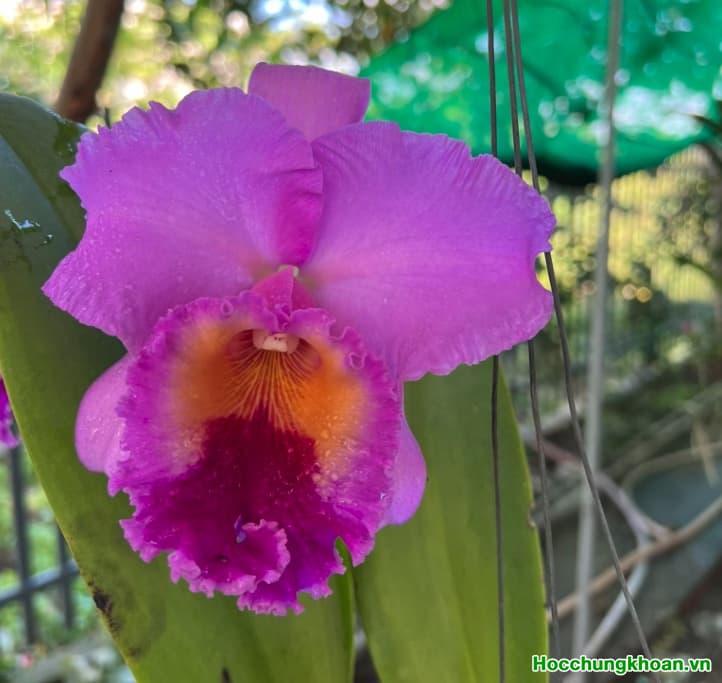 Cứ nghĩ đơn giản thôi nhà mình