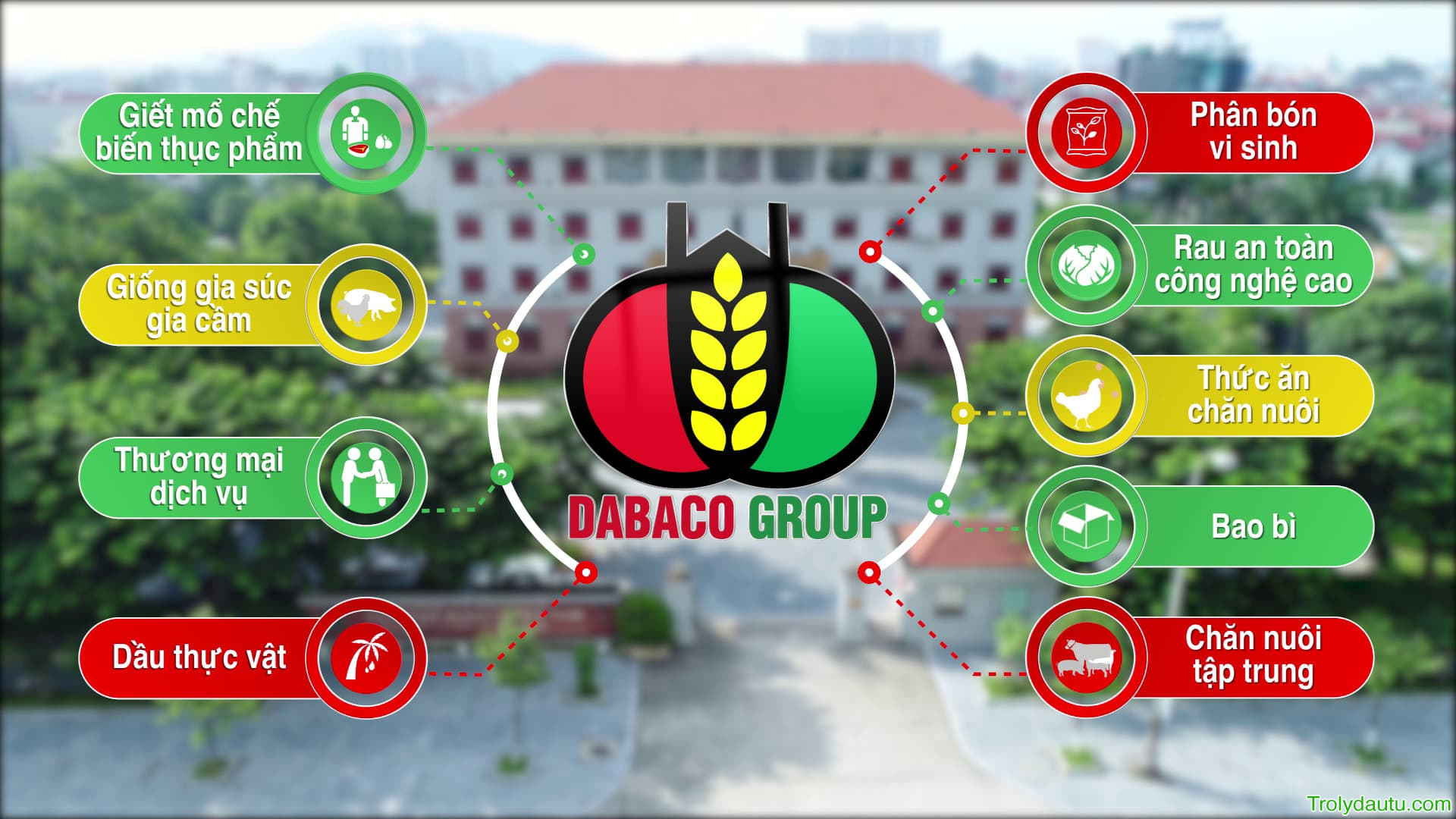 DBC -  Phân tích Tập đoàn Dabaco Việt Nam - Q1/2025