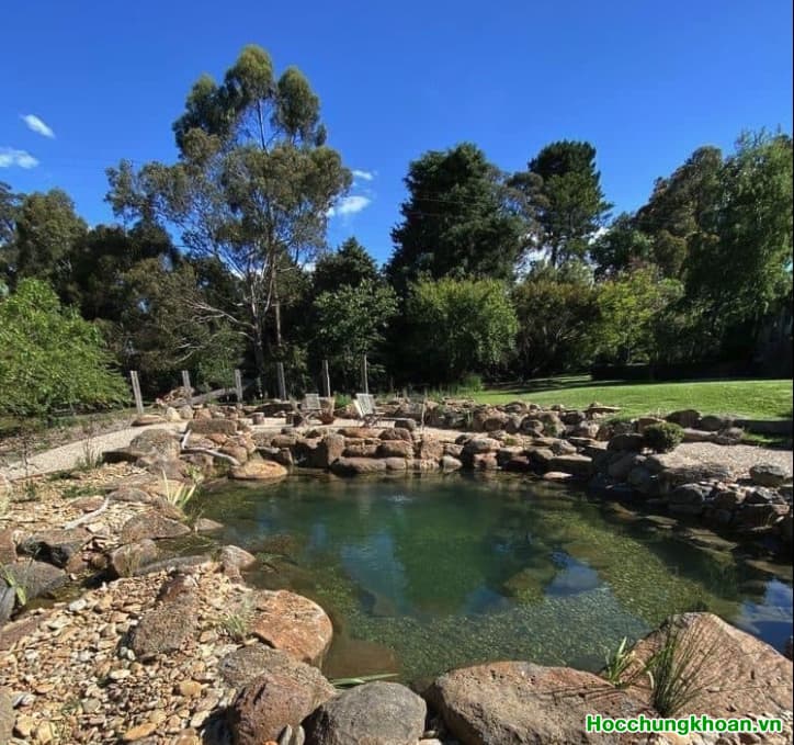 Dòng tiền có dấu hiệu suy yếu trên nhiều cổ phiếu đầu cơ