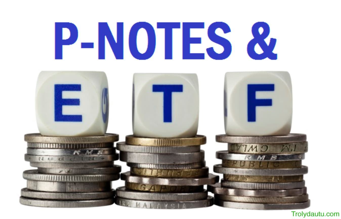 Dòng vốn ngoại mang tính đầu cơ – P-Notes đang trở lại?