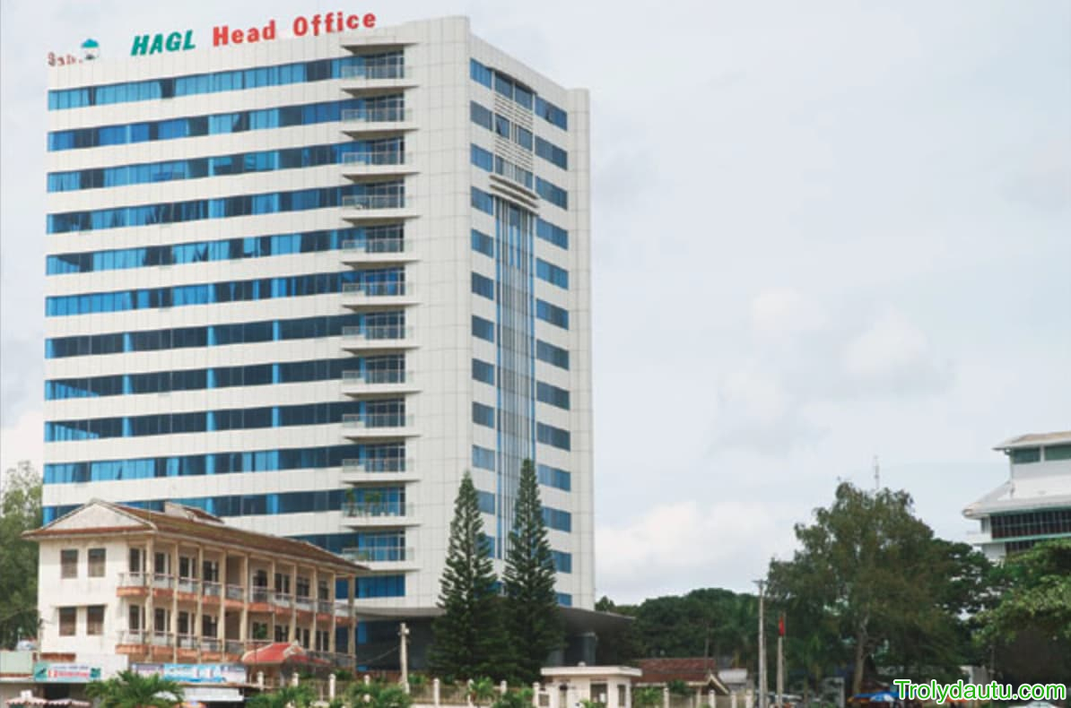 HAG - Phân tích Công ty Hoàng Anh Gia Lai - Q1/2025
