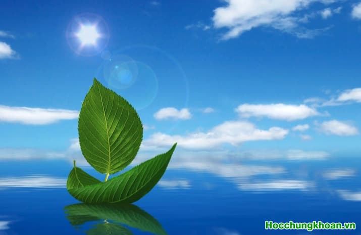 Hành trình đi tìm chân lý TTCK của chị Diễm 