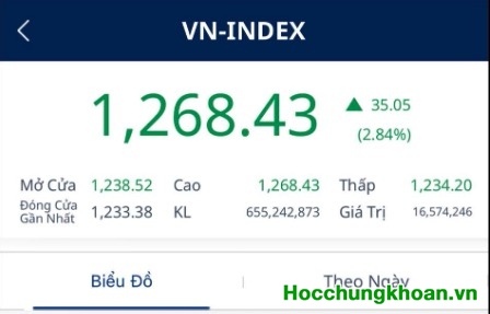 Không cho phép thua lỗ và kỳ vọng ảo sau khi TT đạt đỉnh