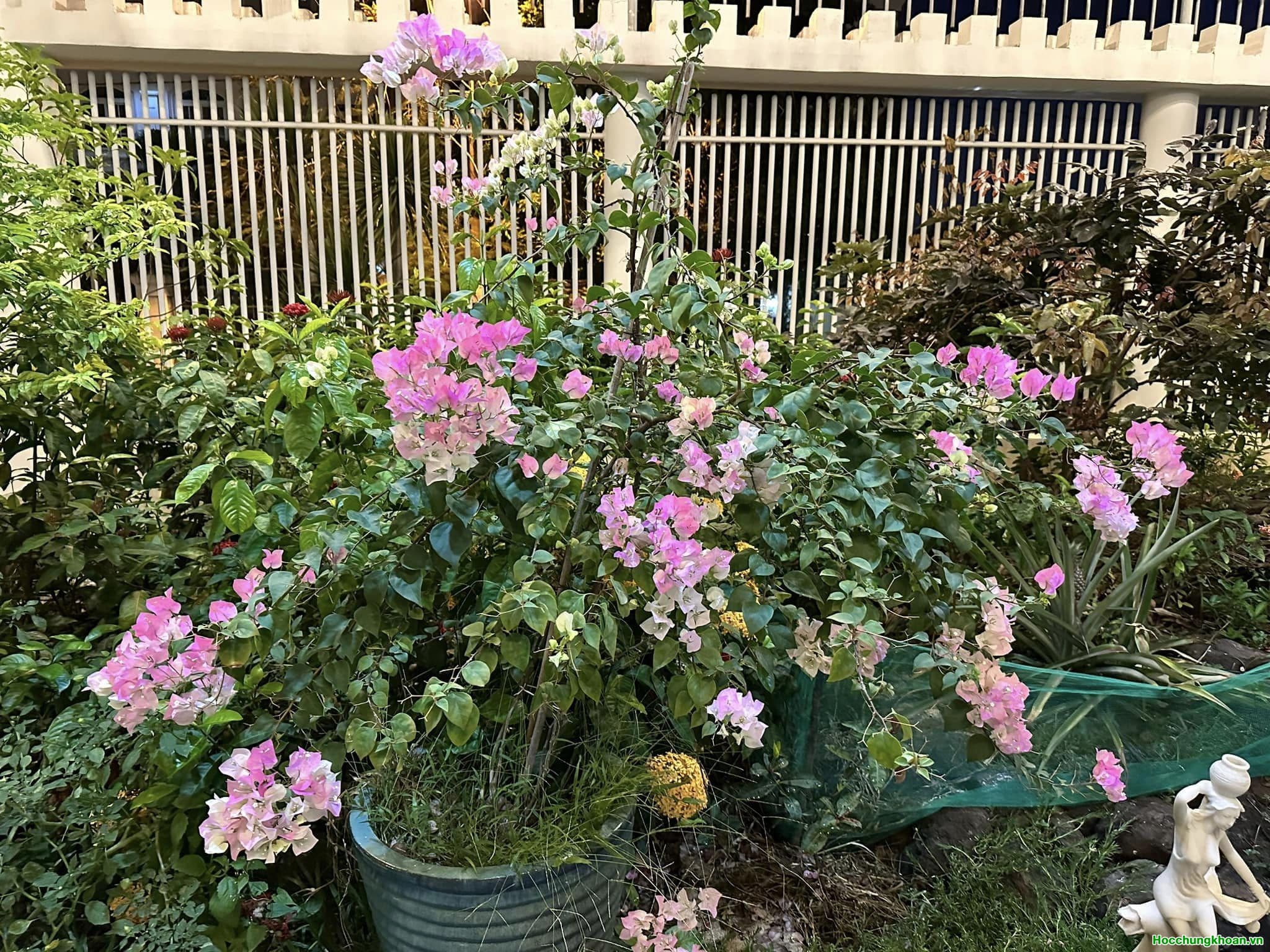 Nếu không có gì bất ổn “BẤT NGỜ”. VN-Index rất dễ dàng tăng mạnh mẽ