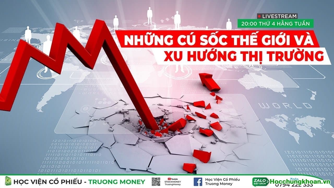 Video 36. Những cú sốc thế giới và xu hướng thị trường