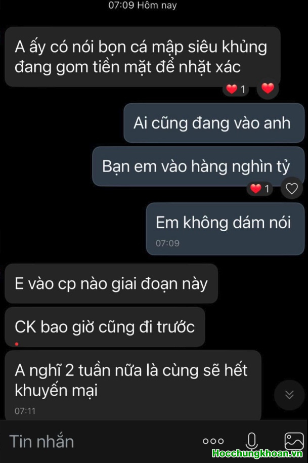 Nỗi đau Force Sell sau khi Call Margin