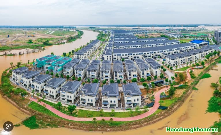 NVL - Ván này chỉ nên xác định là đầu cơ