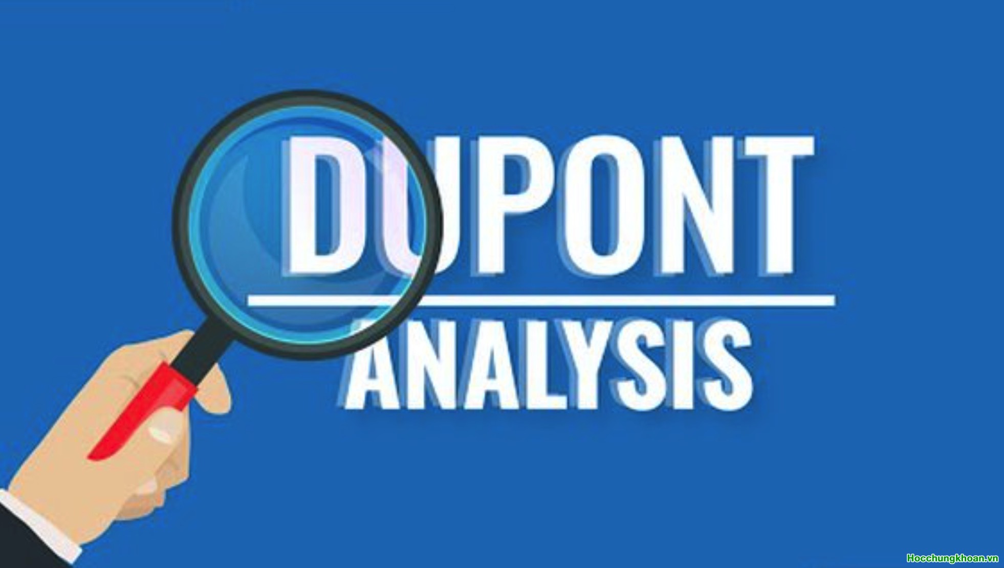 Phân tích Dupont