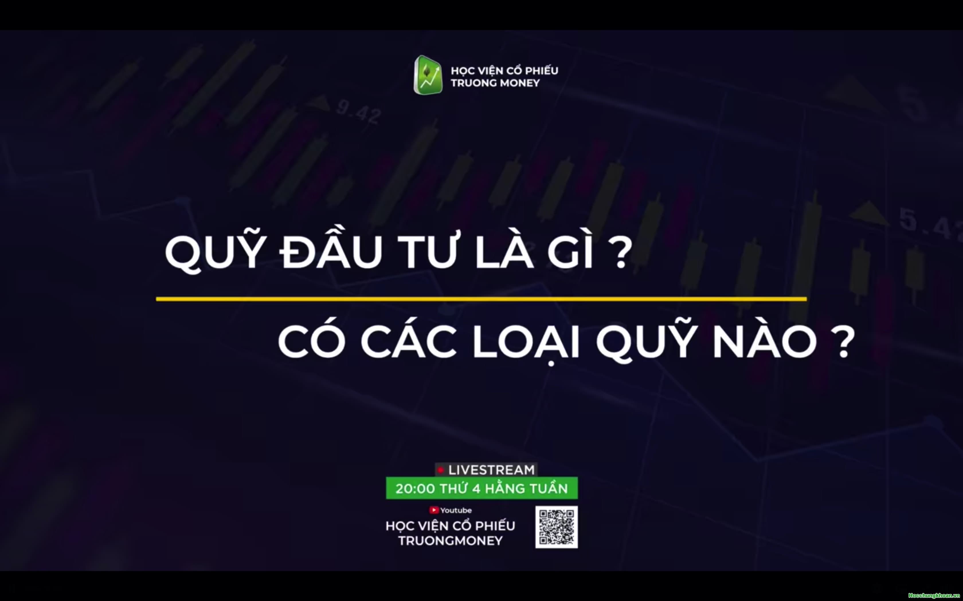 Quỹ đầu tư là gì? Có các loại quỹ nào?