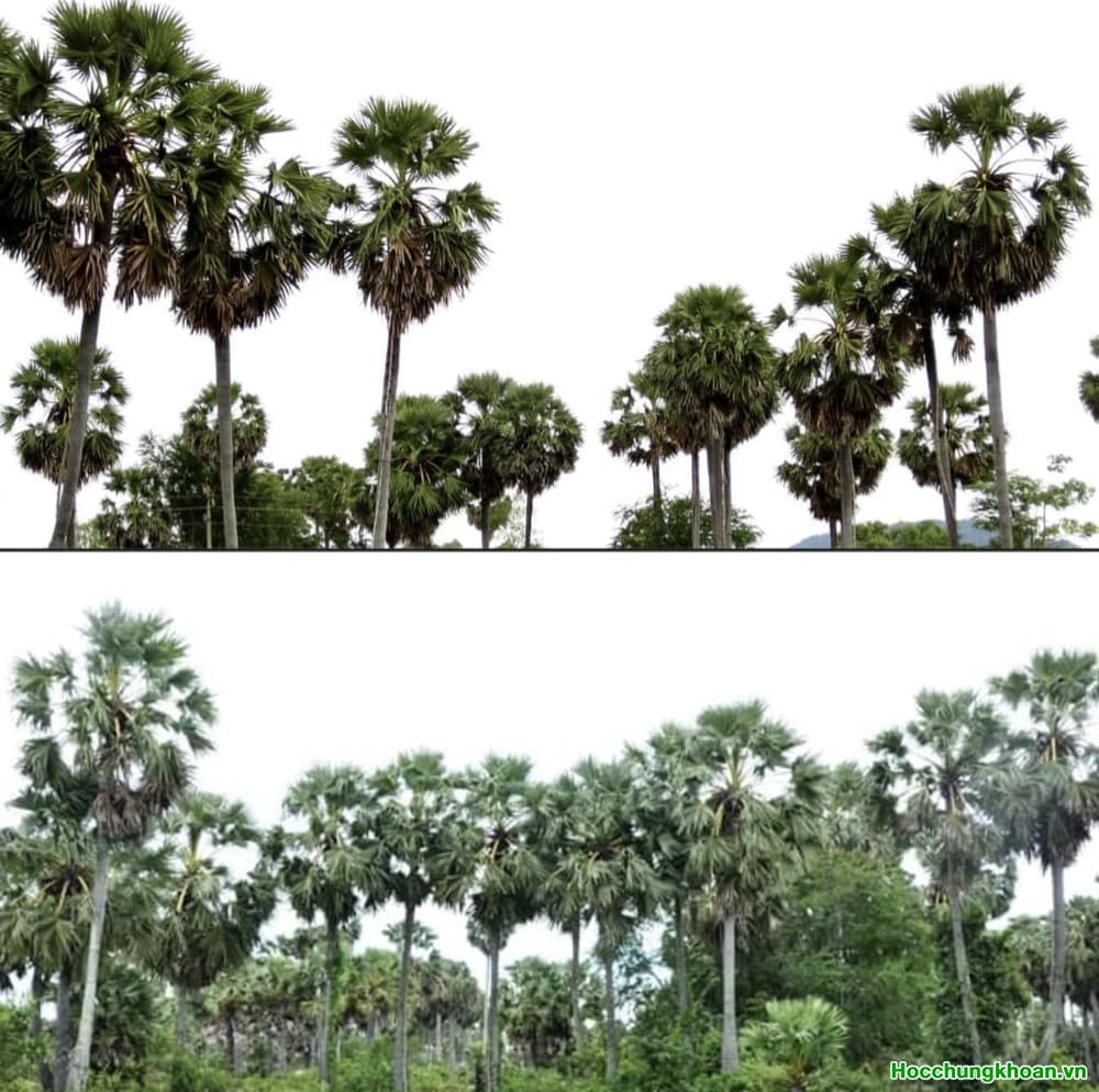 Siêu cổ phiếu là gì?