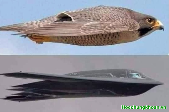 TẠI SAO CỔ PHIẾU PHẢI KÈM NỘI TẠI MẠNH MẼ