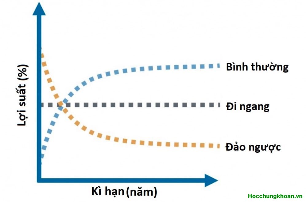Tại Sao Đường Cong Lợi Suất Đảo Ngược Lại Khiến Thị Trường Hoảng Loạn?