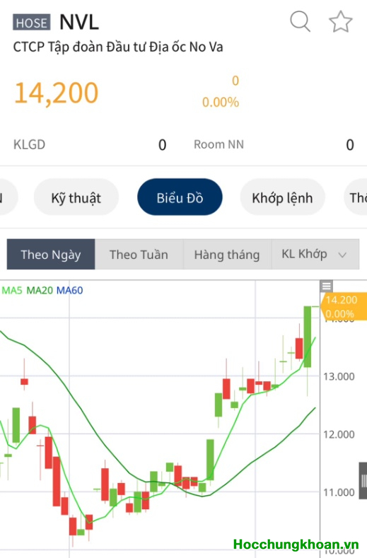 Thông tin Chính Phủ thành lập tổ công tác giải quyết riêng cho NVL. Có thể hiểu như thế nào?