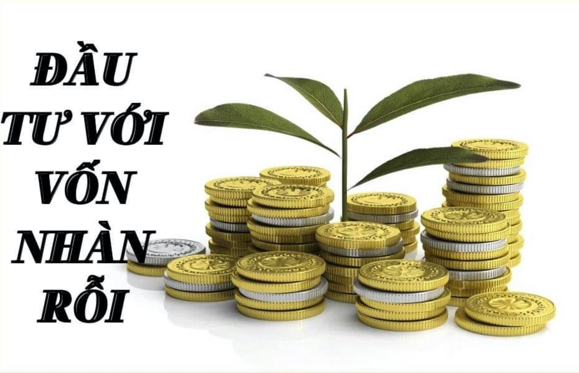 Tiền áp lực và tiền tự do đầu tư vào cổ phiếu