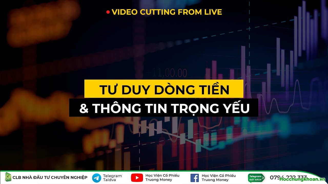 TƯ DUY DÒNG TIỀN & THÔNG TIN TRỌNG YẾU TRONG ĐẦU TƯ CỔ PHIẾU