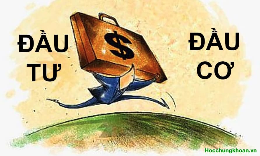 Tự hỏi tự trả lời: Bạn mua cổ phiếu để làm gì?