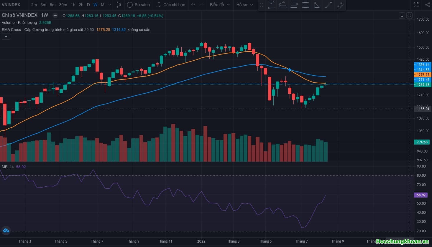 Tuần mới có gì mới? 