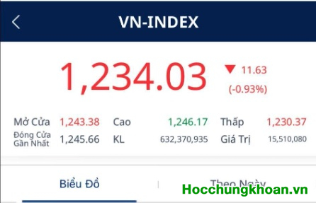 VN-Index có nguy cơ phá đáy gần nhất 