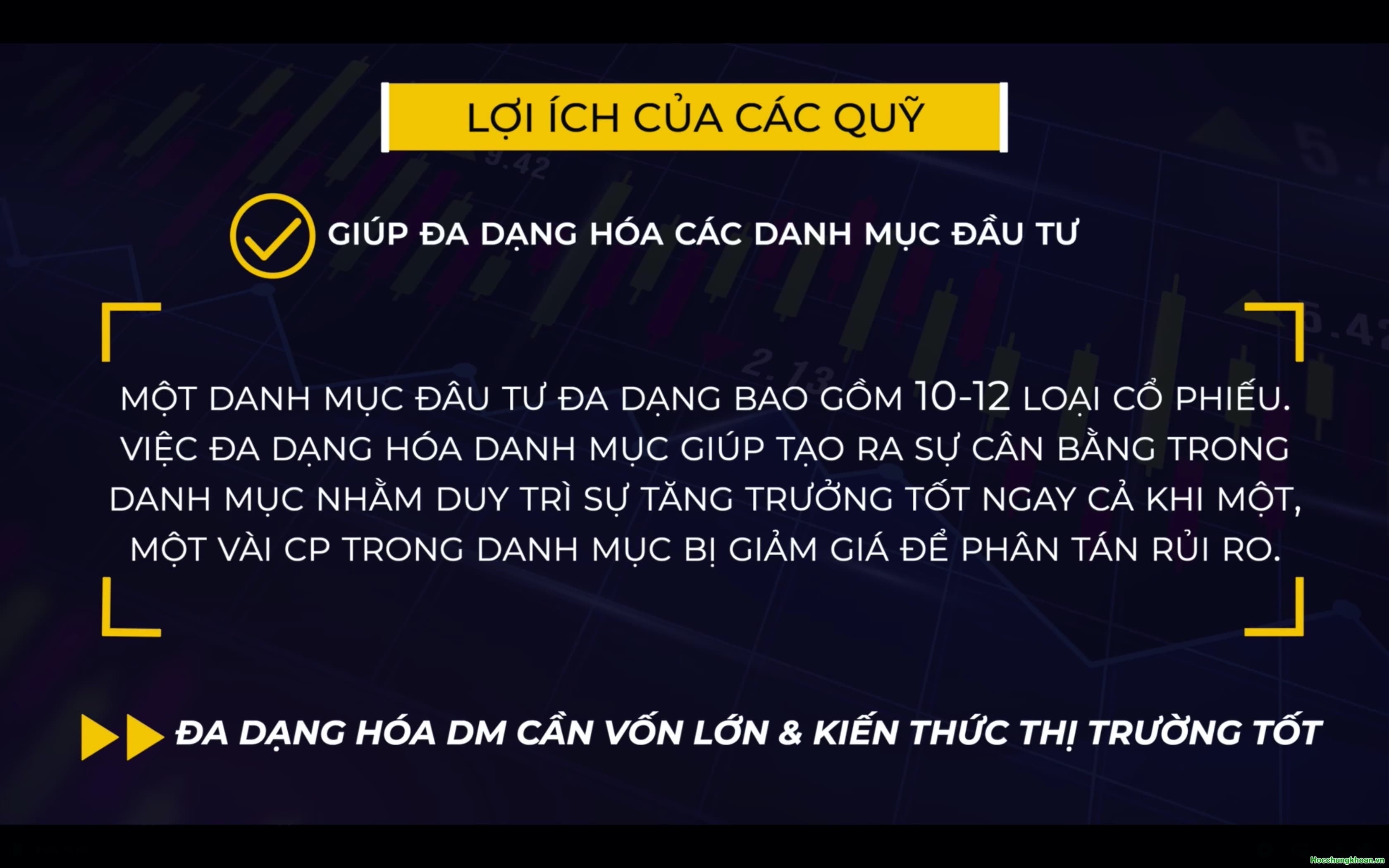 Quỹ đầu tư là gì? Có các loại quỹ nào? - Ảnh 11