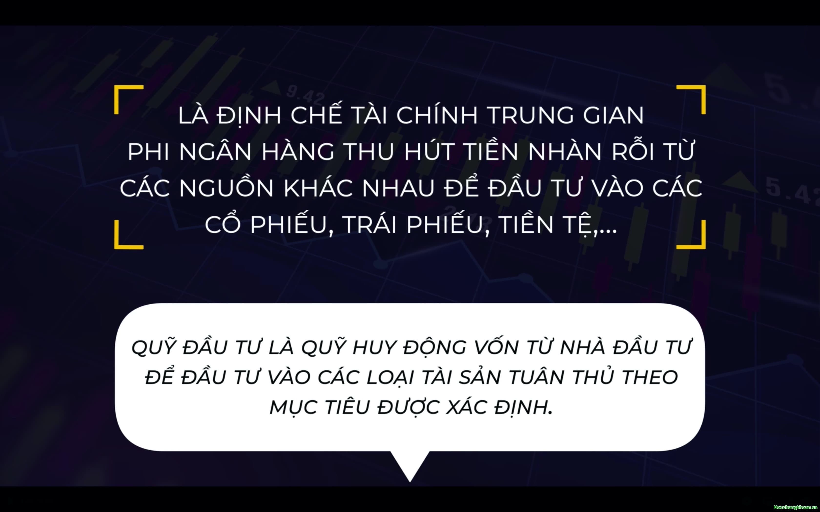 Quỹ đầu tư là gì? Có các loại quỹ nào? - Ảnh 8