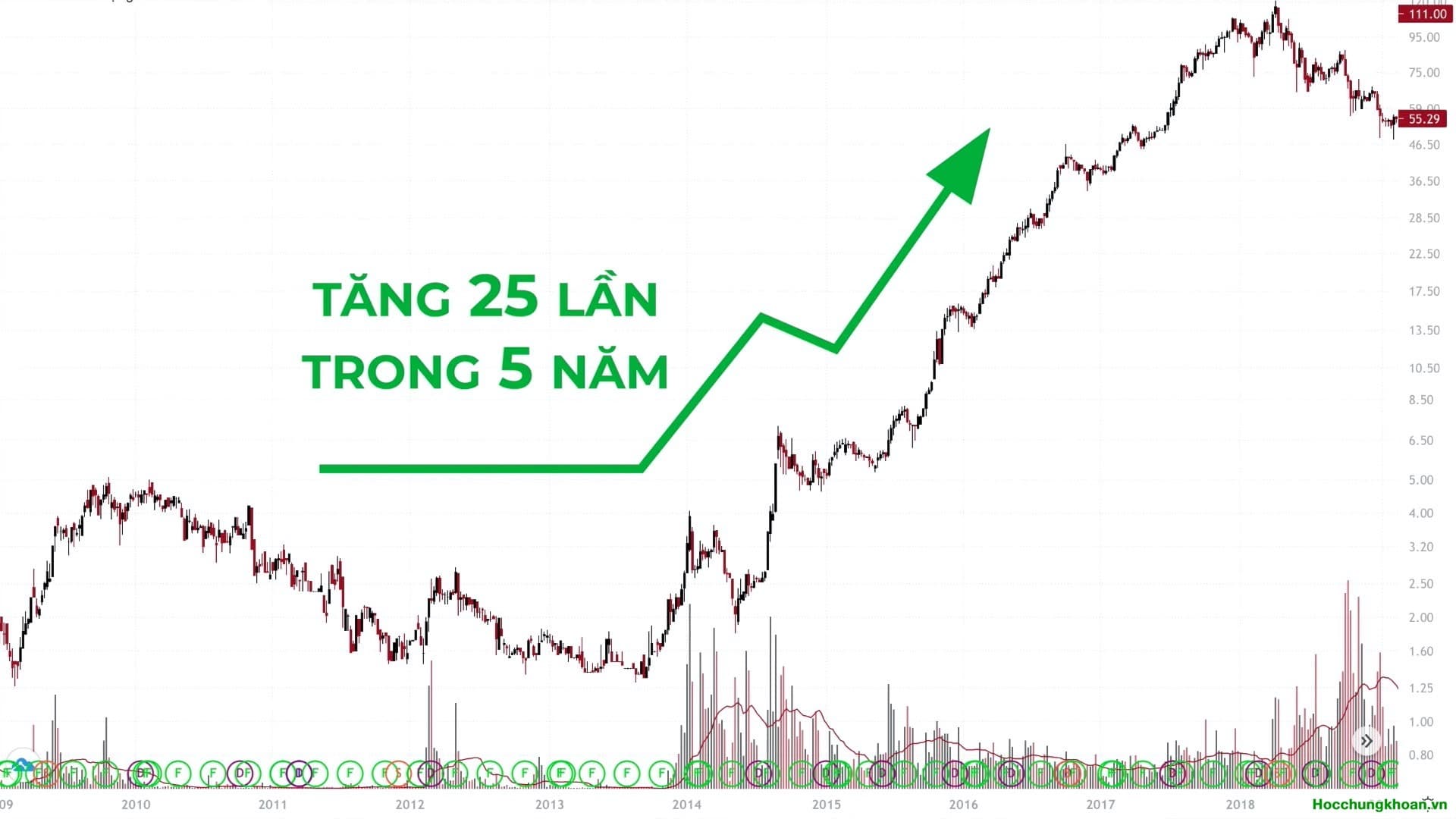 Tại sao phải nghiên cứu mẫu hình cổ phiếu đã tăng giá thành công trong quá khứ? - Ảnh 13