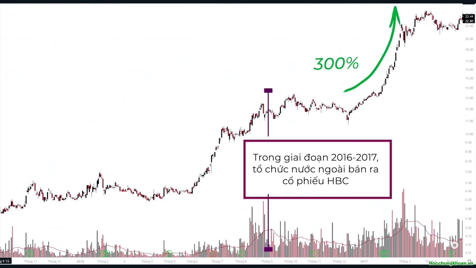 Tầm soát cổ đông lớn? - Ảnh 14