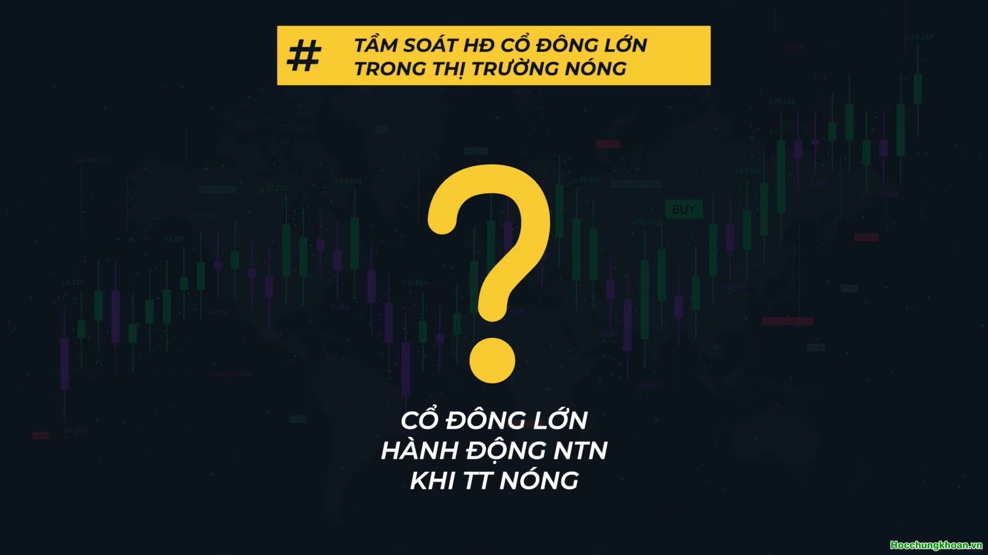 Tầm soát cổ đông lớn? - Ảnh 16