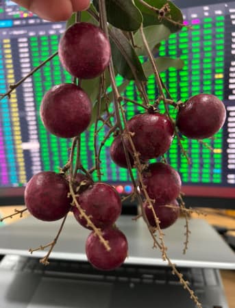 Áng sáng cuối đường hầm. TTCK sẽ tăng điểm cực mạnh 