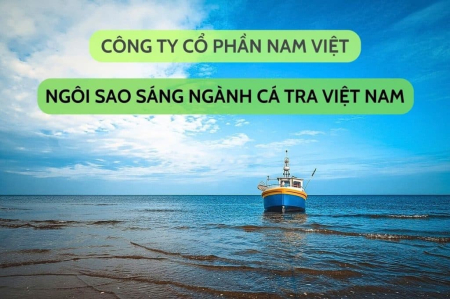 ANV - Phân tích công ty cổ phần Nam Việt Q1/2025