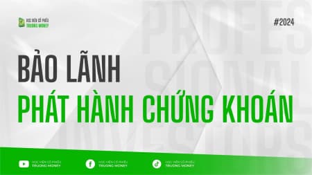 BẢO LÃNH PHÁT HÀNH CHỨNG KHOÁN?
