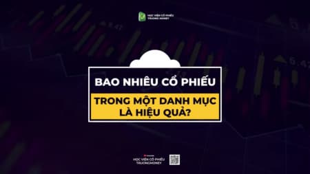 BAO NHIÊU CỔ PHIẾU TRONG MỘT DANH MỤC LÀ HIỆU QUẢ?